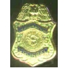US IMMIGRATION COUNSEL BADGE PIN